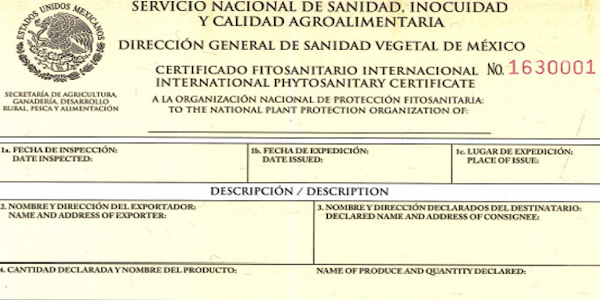 Certificado fitosanitario internacional